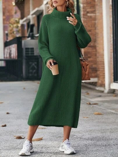 Winter Turtleneck Knitted Sweater Dress