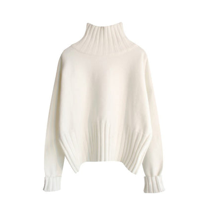 Casual Turtle Neck Pullover