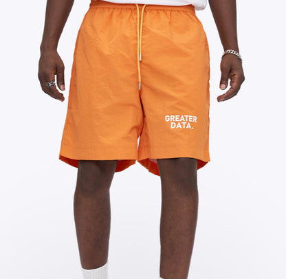Greater Data Cargo Shorts