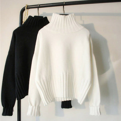 Casual Turtle Neck Pullover