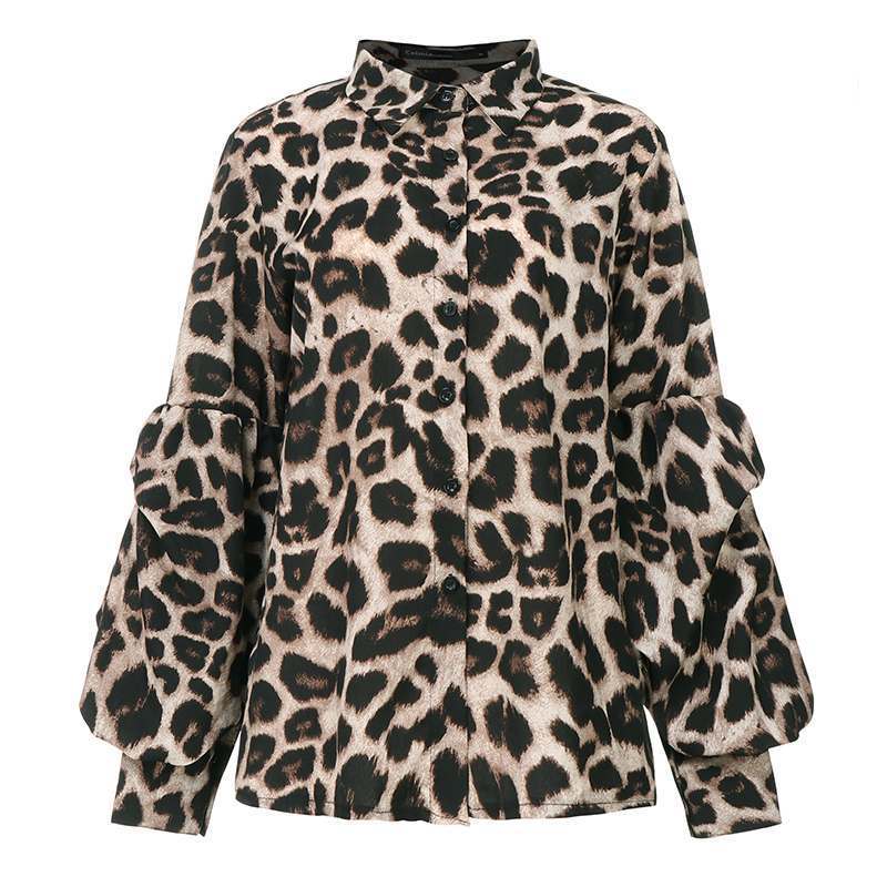 Leopard-Print Long-Sleeved Top