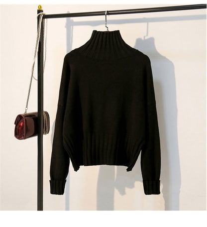 Casual Turtle Neck Pullover