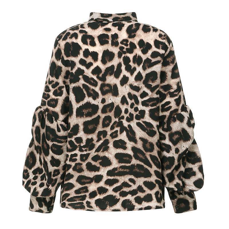Leopard-Print Long-Sleeved Top